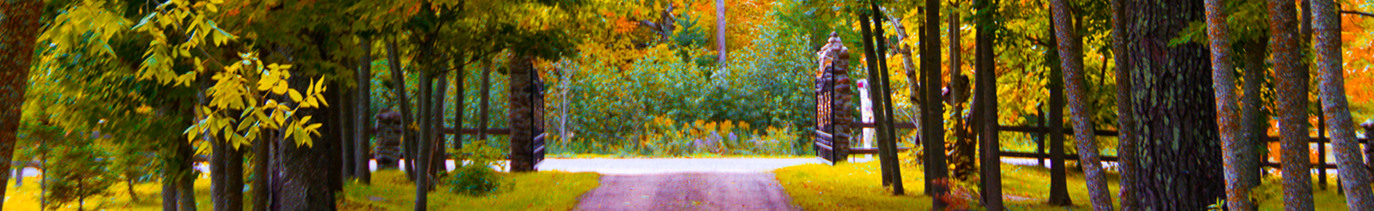 Support_header